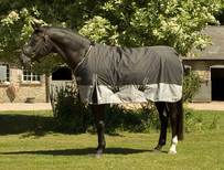 Rhinegold Mesh Horse Fly Rug 6ft 3 With Removable Neck Cover Cross Surcingles /& Leg Straps